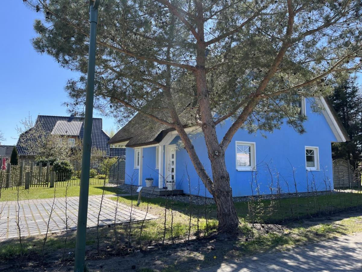 Ferienhaus De Niege Leive Born Exterior foto